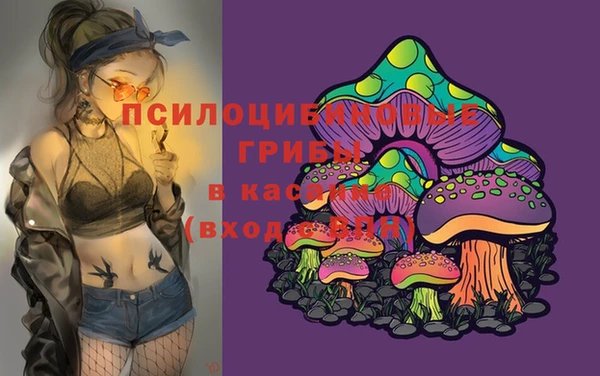 мдпв Великий Новгород