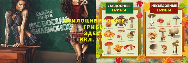 метамфетамин Медногорск