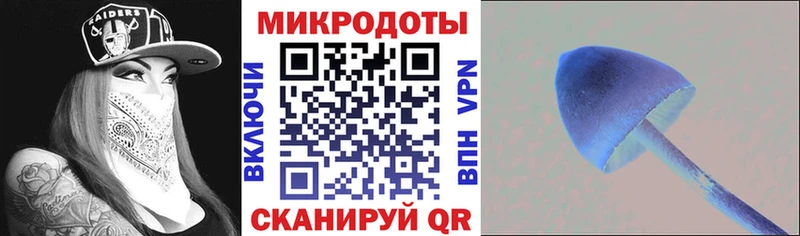 Галлюциногенные грибы мицелий  Данилов 