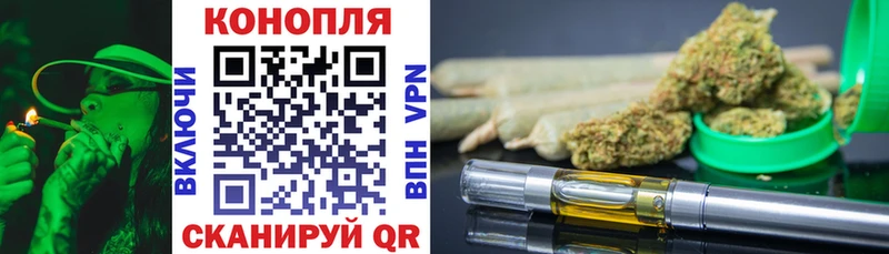 как найти Данилов Конопля ГИДРОПОН